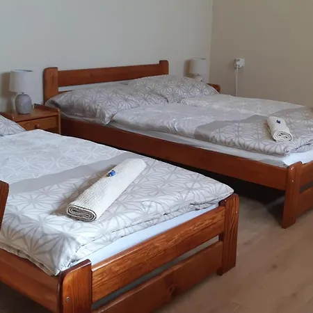 Protea Hódmezővásárhely